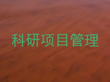 科研项目管理