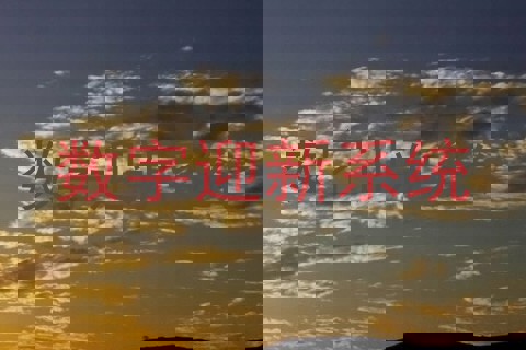 数字迎新系统