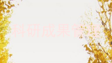 科研成果管理