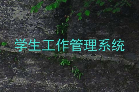 学生工作管理系统