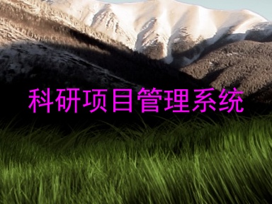 科研项目管理系统
