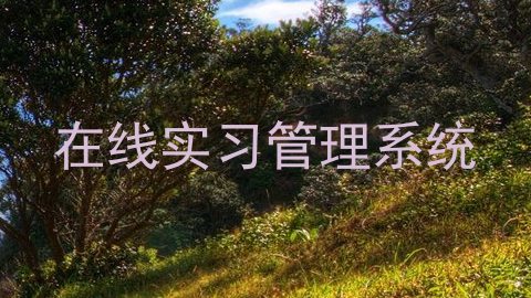 在线实习管理系统