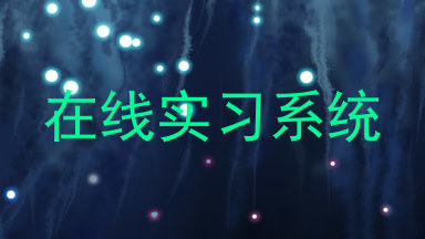 在线实习系统