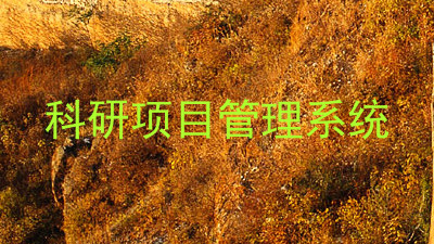 科研项目管理系统