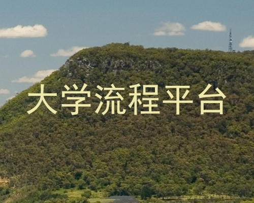 大学流程平台