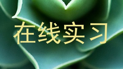在线实习