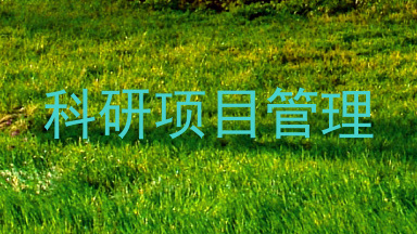 科研项目管理