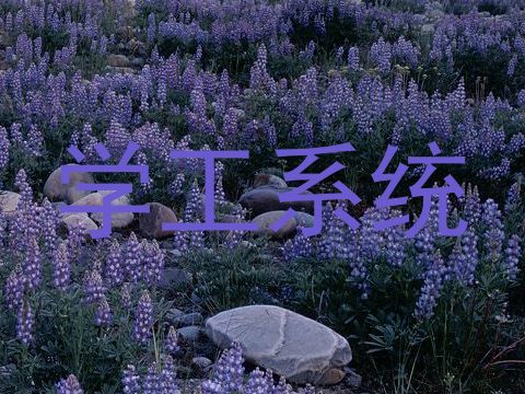 学工系统