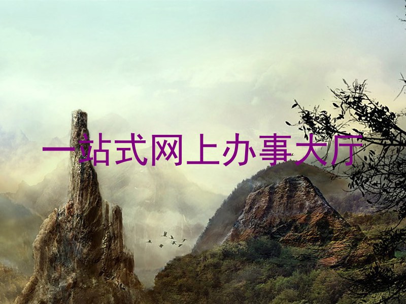 一站式网上办事大厅