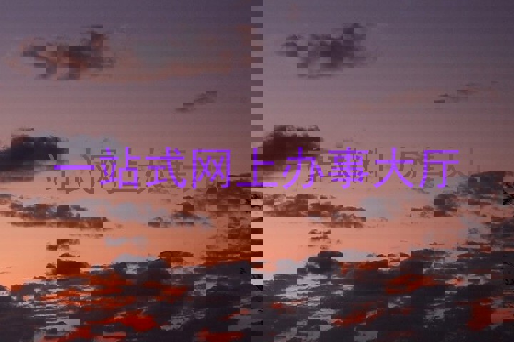 一站式网上办事大厅