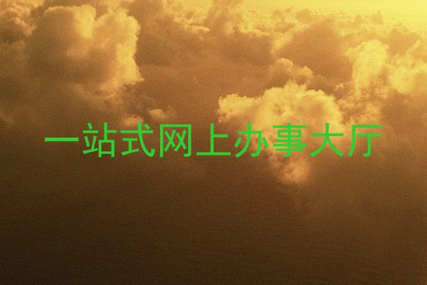 一站式网上办事大厅