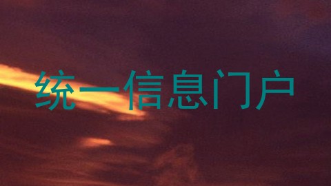 统一信息门户