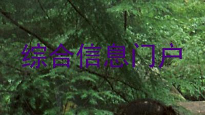 综合信息门户