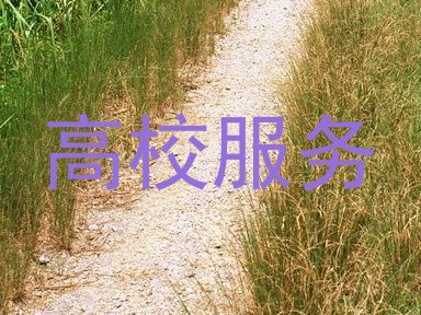 高校服务