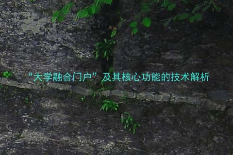 “大学融合门户”及其核心功能的技术解析