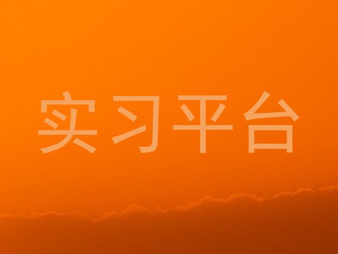 实习平台