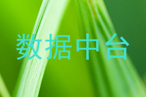 数据中台