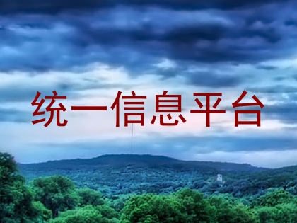 统一信息平台