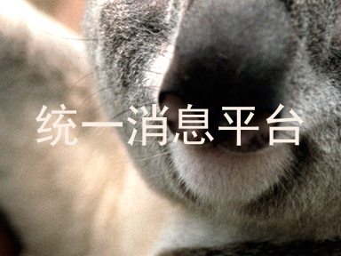 统一消息平台