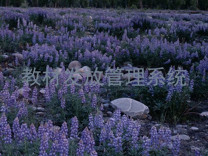 教材发放管理系统