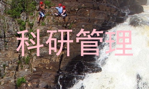 科研管理