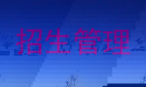 招生管理