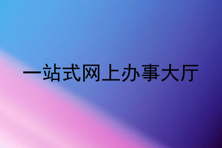 一站式网上办事大厅