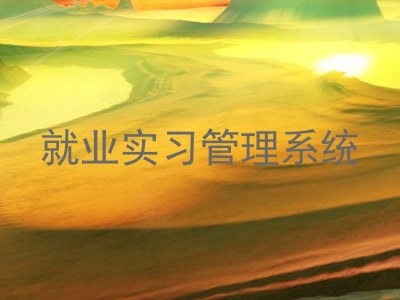 就业实习管理系统