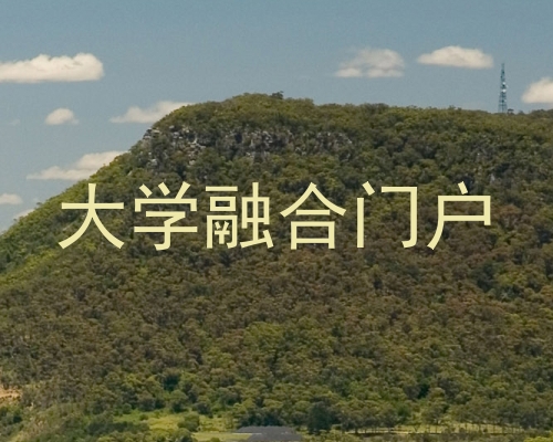大学融合门户