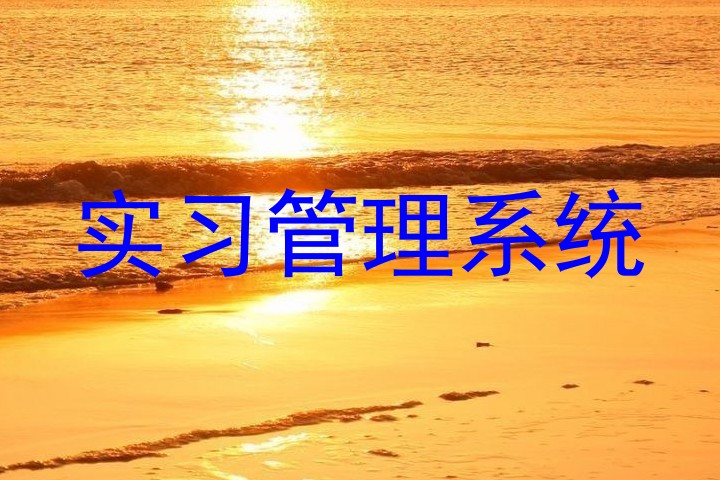 实习管理系统