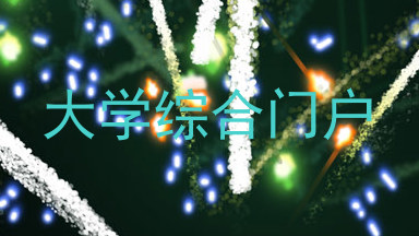 大学综合门户
