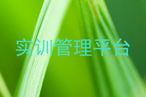 实训管理平台