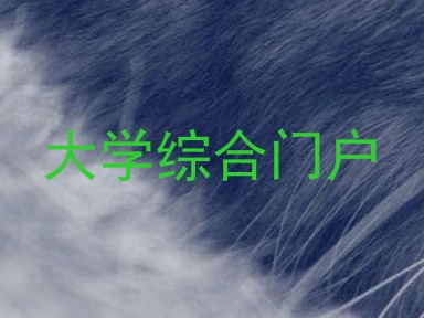 大学综合门户