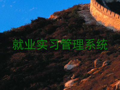 就业实习管理系统