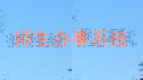 师生办事系统