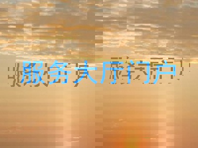 服务大厅门户