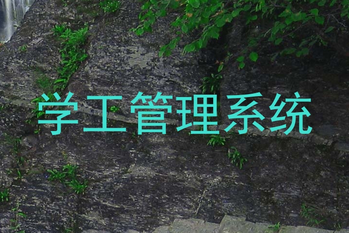 学工管理系统