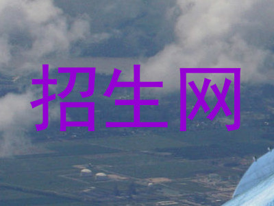 招生网