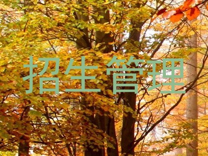 招生管理