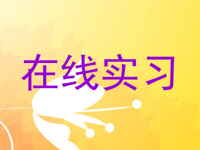 在线实习