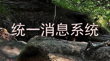 统一消息系统