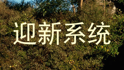 迎新系统