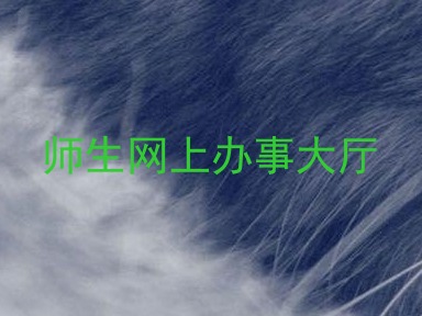 师生网上办事大厅