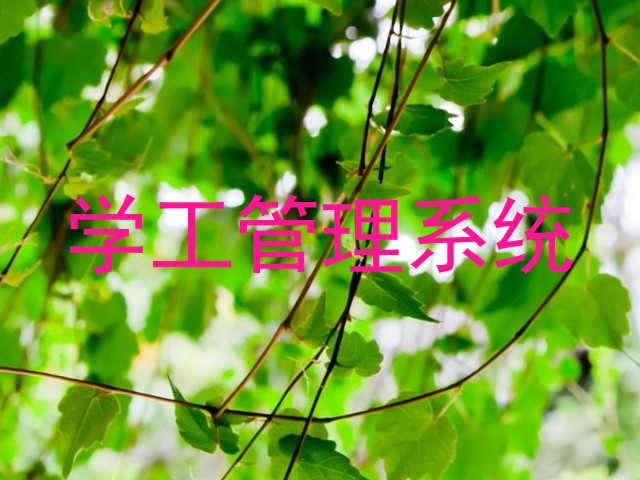 学工管理系统