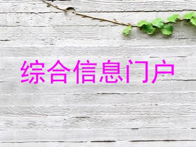 综合信息门户