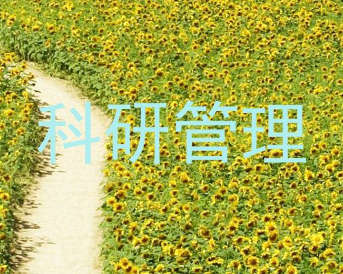 科研管理