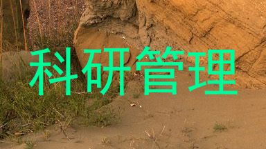 科研管理