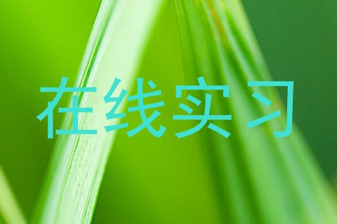 在线实习
