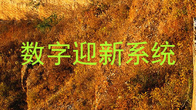 数字迎新系统