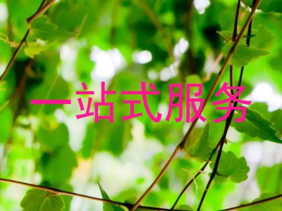 一站式服务